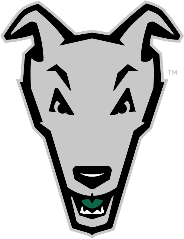 Loyola-Maryland Greyhounds 2011-Pres Alternate Logo iron on transfers for T-shirts